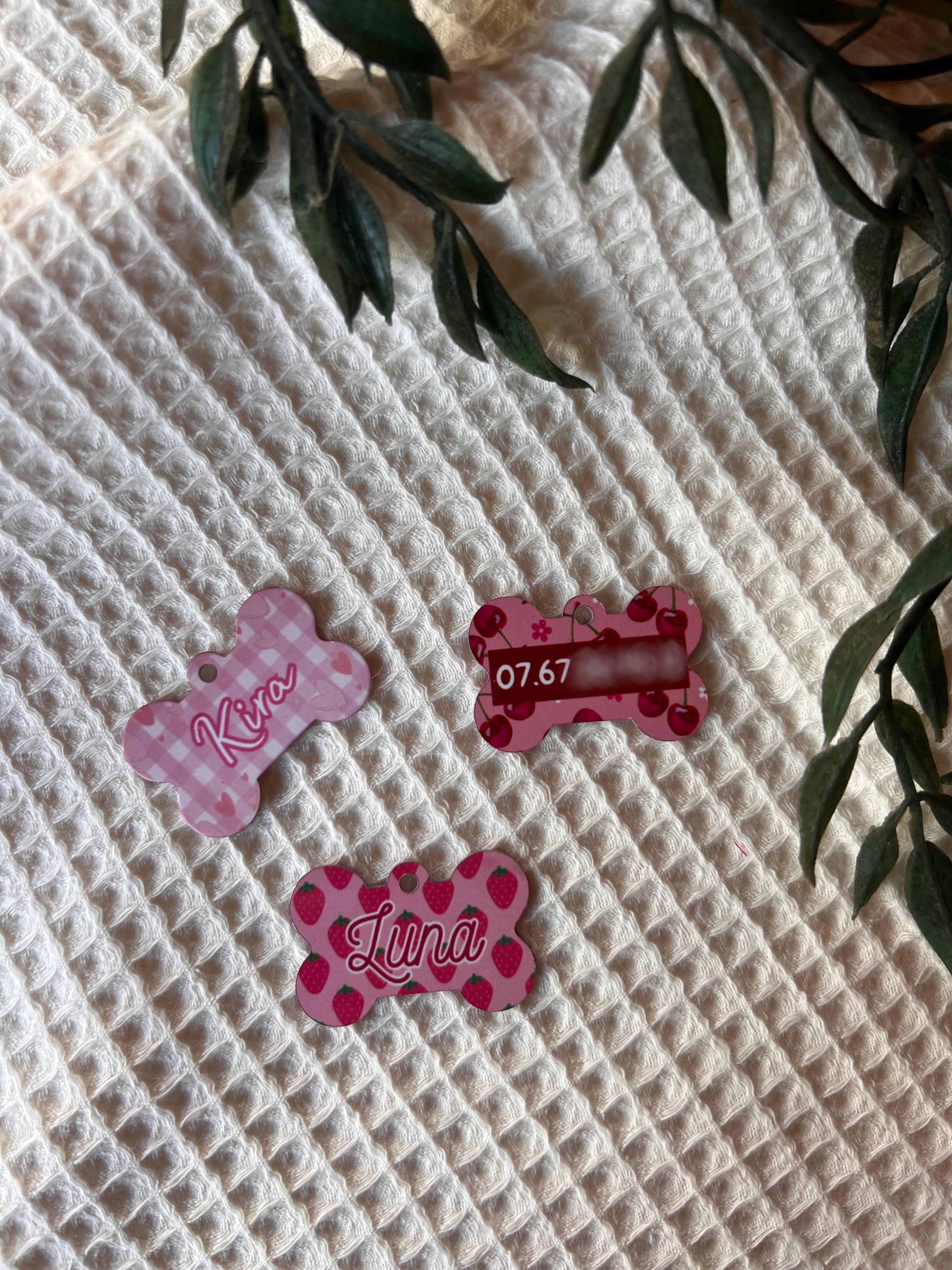 Médaillon chat/chien